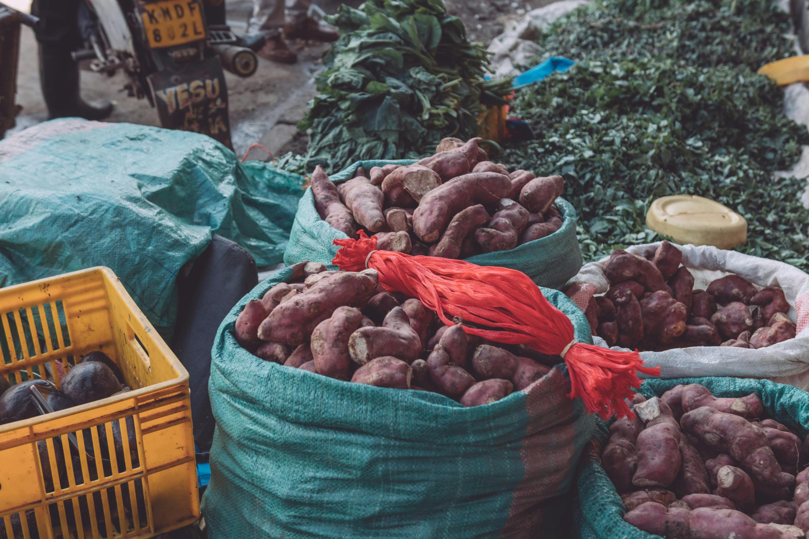 AGRICULTURE MINISTRY LAUNCHES AUDIT COMMITTEE TO BOLSTER TRANSPARENCY