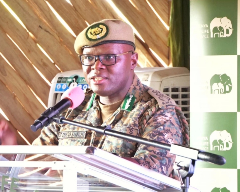 KWS TO REVISE PARK ENTRY FEES FOR THE FIRST TIME IN 18 YEARS