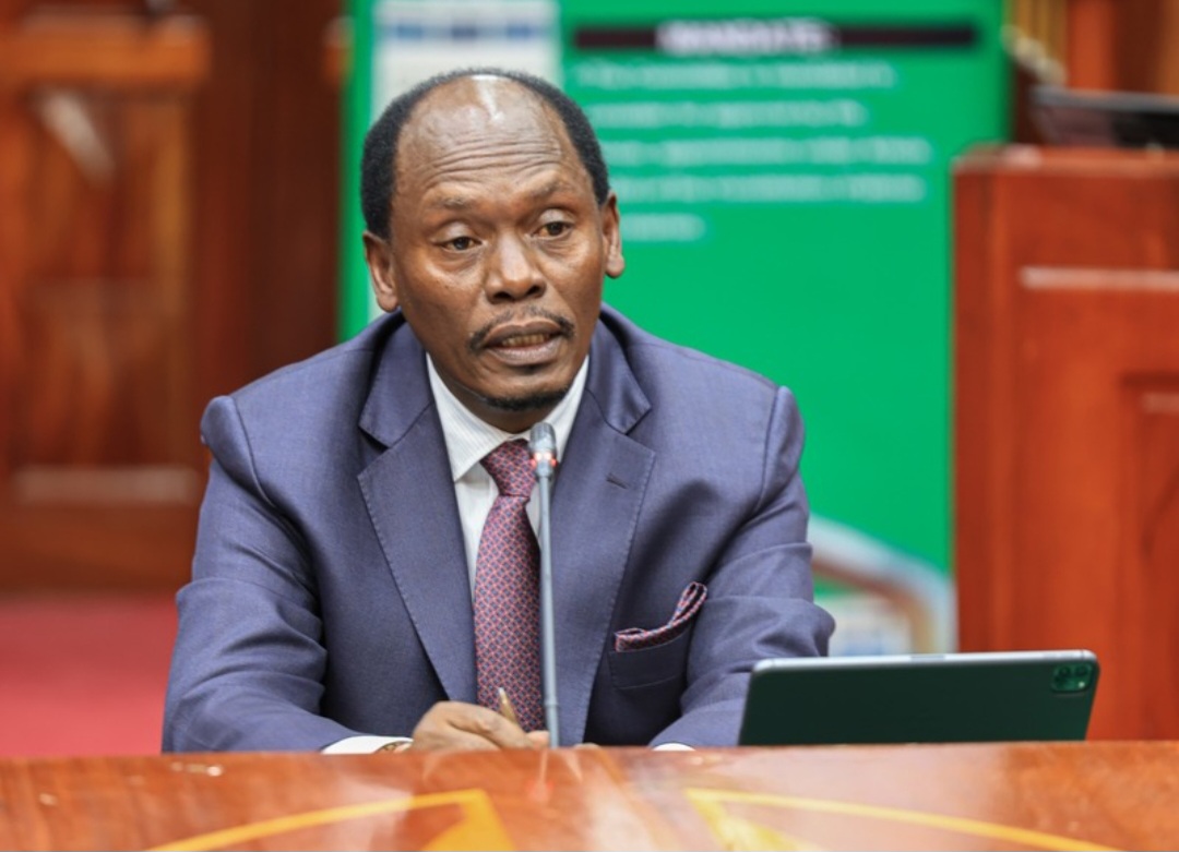 KABOGO DISMISSES CLAIMS OF TARGETED FIRING OF MT KENYA CEOS