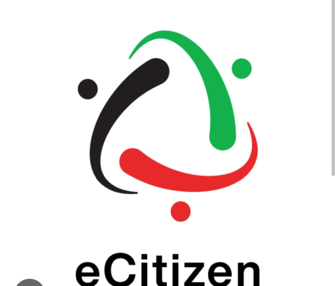 IRREGULARITIES UNCOVERED ON eCITIZEN  PLATFORM