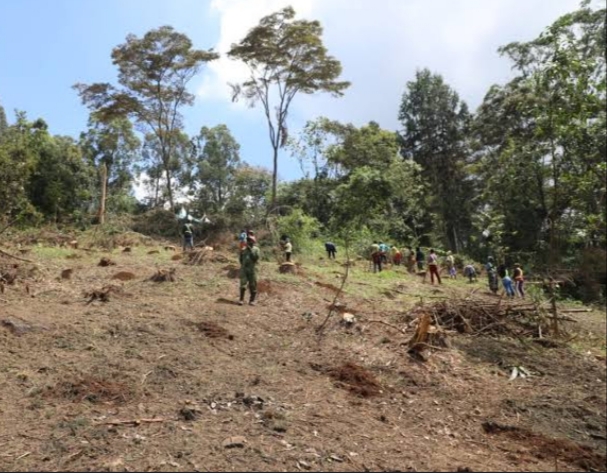 THE KENYA FOREST SERVICE DISMISSES KARURA FOREST VIDEO CLAIMING DEFORESTATION