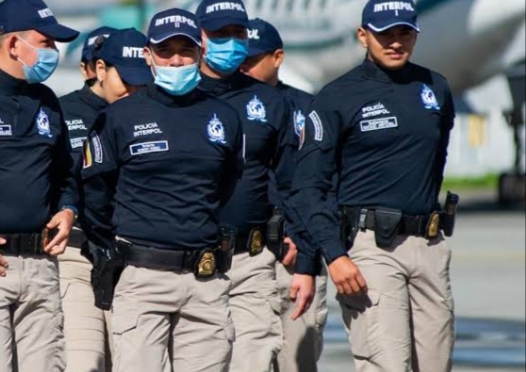 INTERPOL AND AFRIPOL ARREST 1,200 IN GLOBAL OPERATION, SEIZE MILLIONS OF DOLLARS