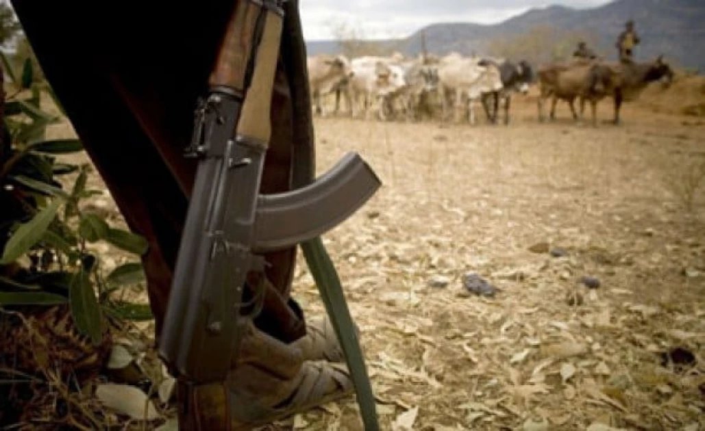 Casualties Reported as Bandits Strike in Isiolo