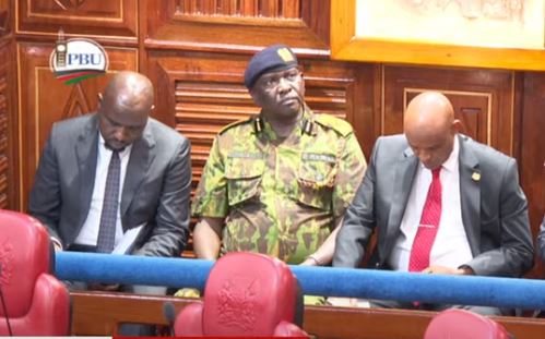 INTERIOR CS AND INSPECTOR GENERAL APPER BEFORE SENATE