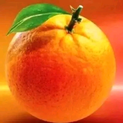 ODM ISSUES NOTICE TO MEMBERS ON MEMBERSHIP VERIFICATION AHEAD OF BY-ELECTIONS