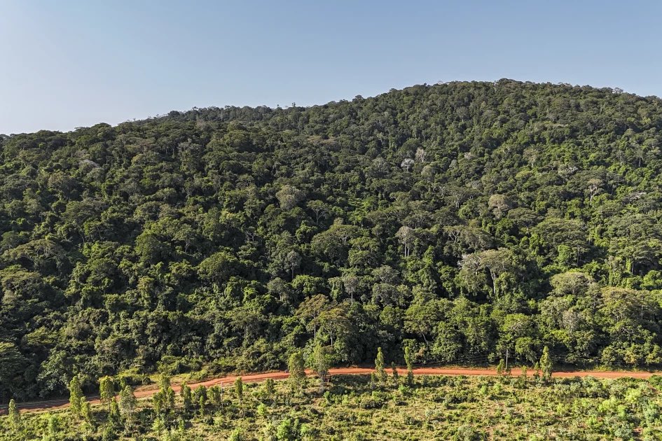 Australian Firms Eye Kenya’s Mrima Hill in $62 Billion Rare Earth Venture Amid Rising Community Concerns