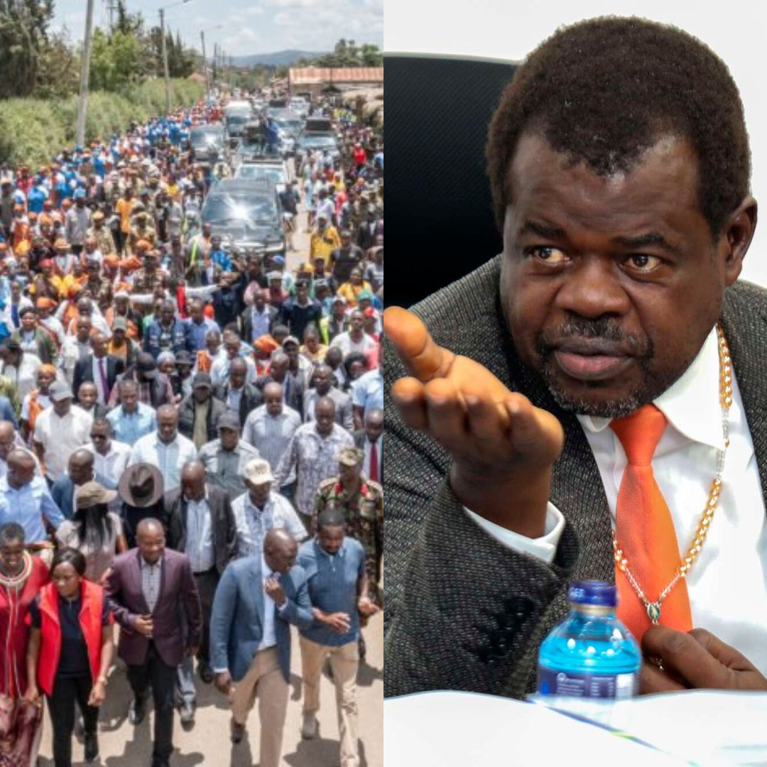 SENATOR OMTATAH ; RUTO IS LIKE A HYENA ATTRACTING ONLOOKERS IN THE MARKET