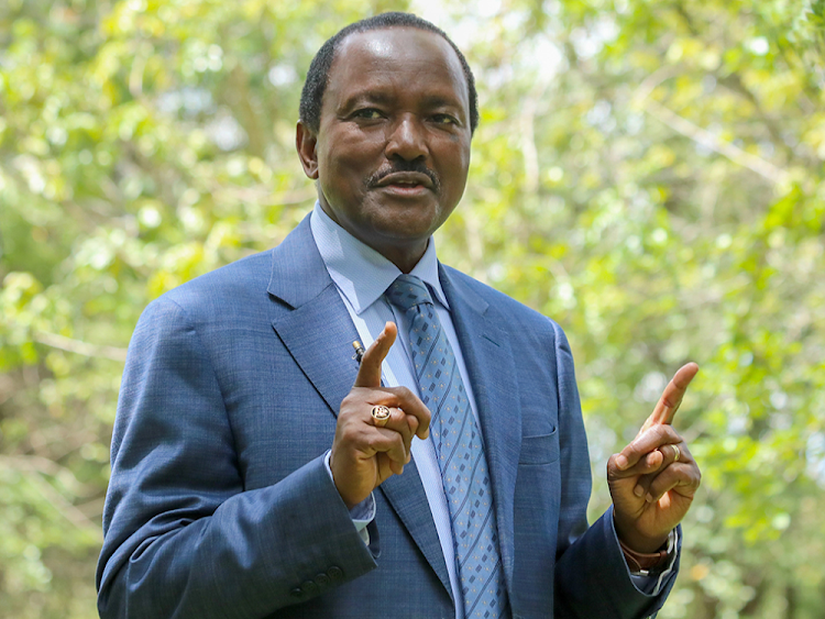 Kalonzo Backs Up Muturi's Call