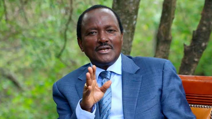 KALONZO MUSYOKA MOURNS VICTIMS OF AMREF PLANE CRASH IN MWIHOKO