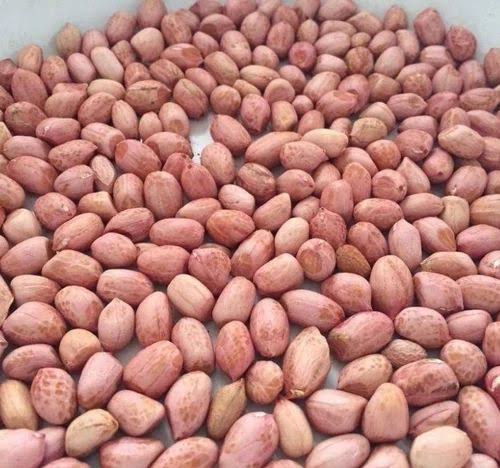 U.S. PEANUT INDUSTRY EYES KENYAN MARKET AMID GLOBAL TRADE SHIFTS