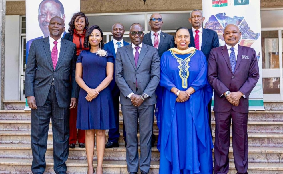 Raila's AUC Campaign Leaders