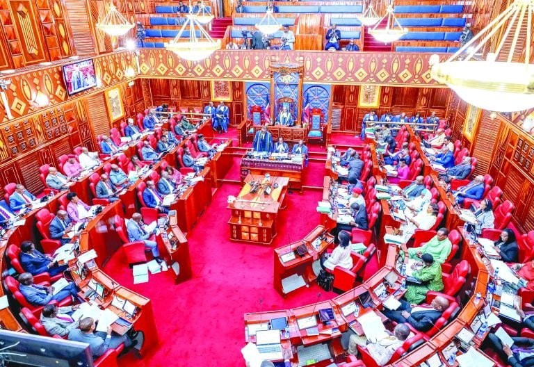 Ruto Allies Dominate Senate