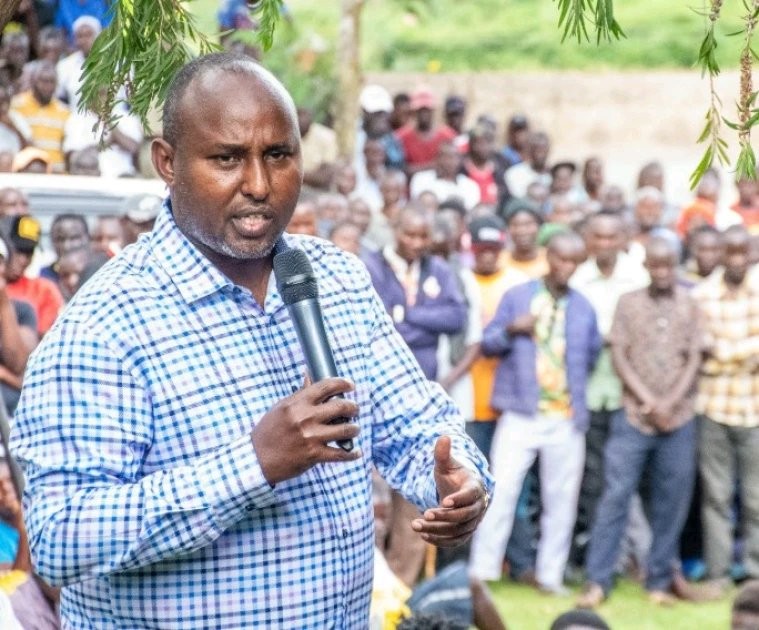 Minority Leader Junet Mohamed Criticiszes Ruto's Appointment